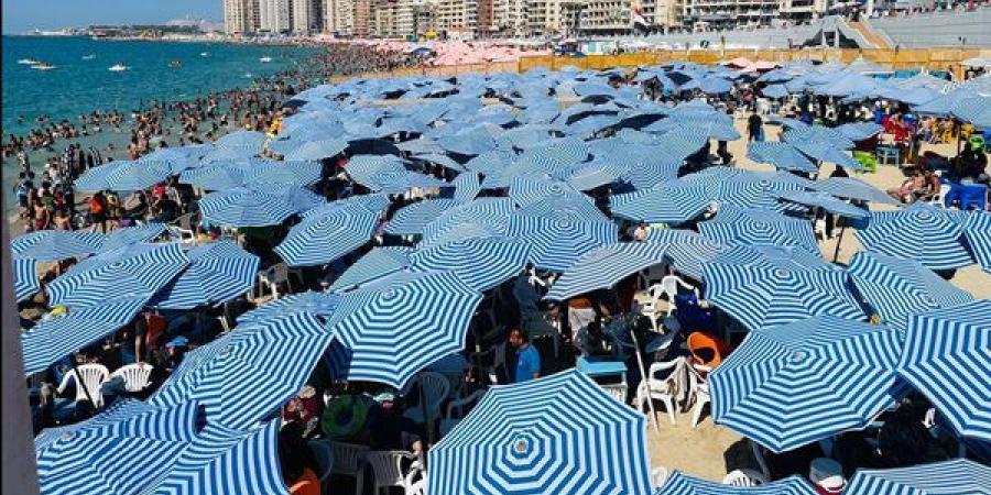إقبال
      كثيف
      على
      شواطئ
      الإسكندرية..
      والمحافظة
      ترفع
      حالة
      الطوارئ
      استعدادًا
      لعيد
      الأضحى