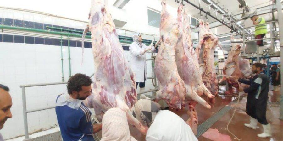 انتظام
      العمل
      بمجازر
      البحر
      الأحمر
      فى
      ثانى
      أيام
      عيد
      الأضحى
      المبارك