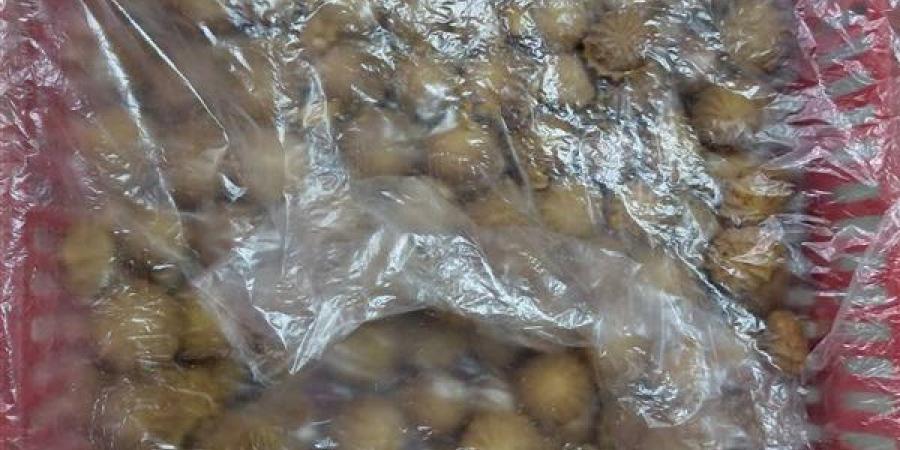ضبط
      220
      كجم
      "بيتي
      فور"
      غير
      صالح
      للاستهلاك
      الآدمي
      بالقليوبية
