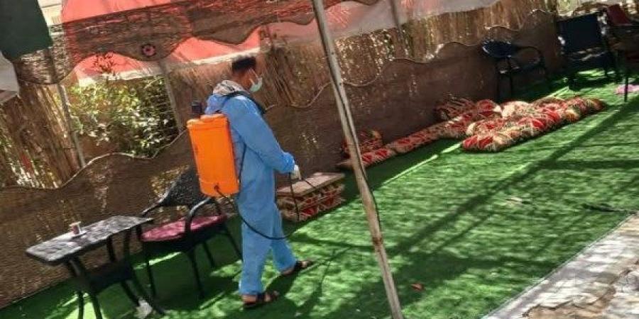 الصحة بالبحيرة تكثف جهود مكافحة ناقلات الأمراض خلال عيد الأضحى المبارك