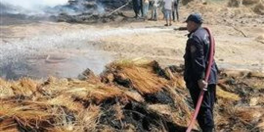 وكيل
      زراعة
      الغربية
      يتفقد
      حريق
      شونة
      الكتان
      بزفتى