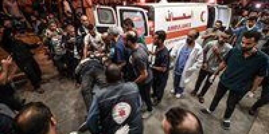 صحة
      غزة
      تحذر:
      انهيار
      وشيك
      لما
      تبقى
      من
      القطاع
      الصحي