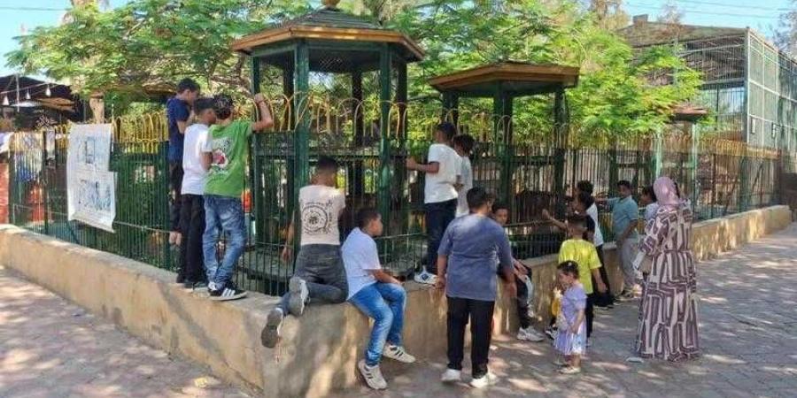 ”الزراعة”:
      حدائق
      الحيوان
      الإقليمية
      والأسماك
      بالزمالك
      استقبلت
      38
      ألف
      زائر