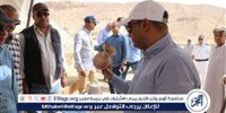 الكشف
      توابيت
      خشبية
      وأوستراكات
      بالعساسيف
      وسور
      ضخم
      من
      الطوب
      اللبن
      بنجع
      أبو
      عصبة
      بالأقصر