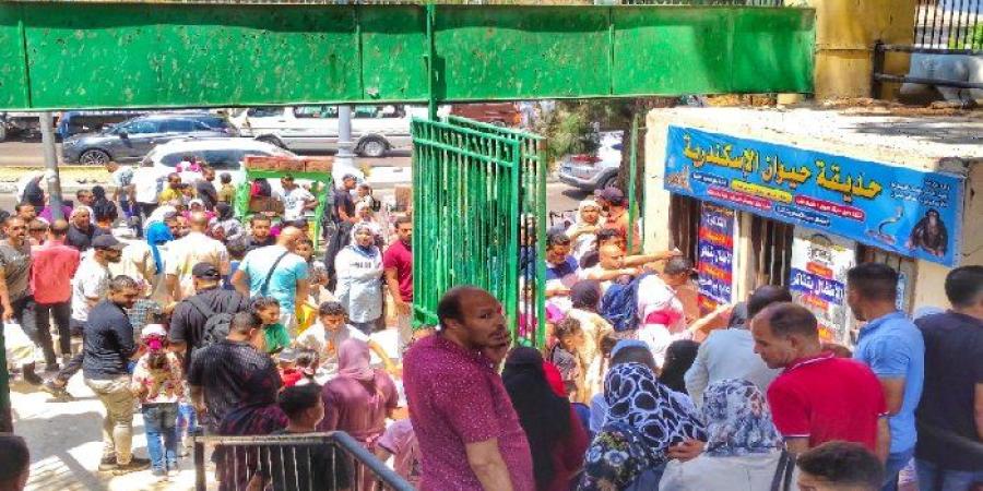 وسط
      أجواء
      من
      البهجة
      والمرح..
      إقبال
      كثيف
      على
      حديقة
      حيوان
      الإسكندرية