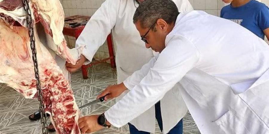 في
      ثالث
      أيام
      العيد..
      ذبح
      561
      أضحية
      بمجازر
      الطب
      البيطري
      بالمجان
      بالشرقية