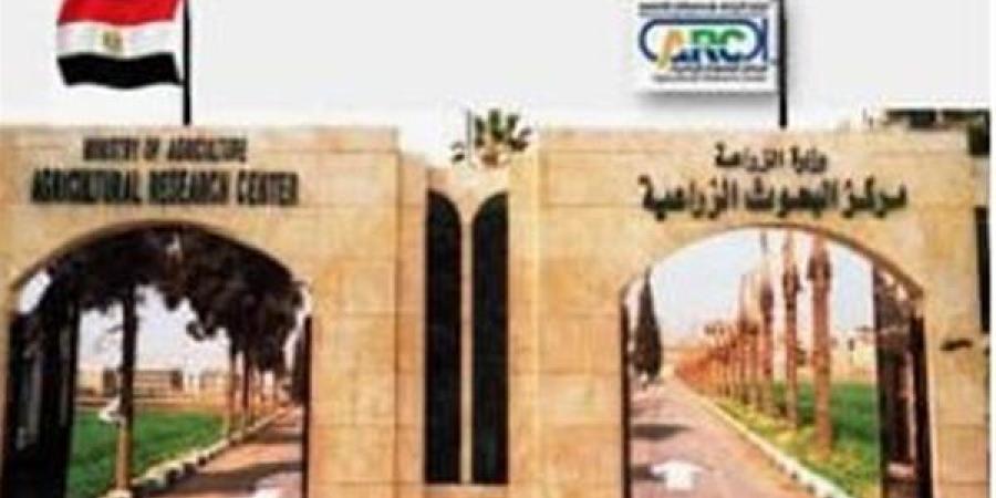 نشاط
      مكثف
      لمركز
      البحوث
      الزراعية
      خلال
      إجازة
      عيد
      الأضحى