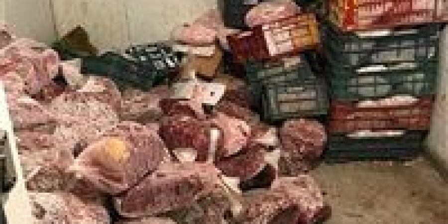 بيطري
      الغربية
      يتحفظ
      على
      359
      كيلو
      لحوم
      وأغذية
      غير
      صالحة
      للاستهلاك
      الأدمى