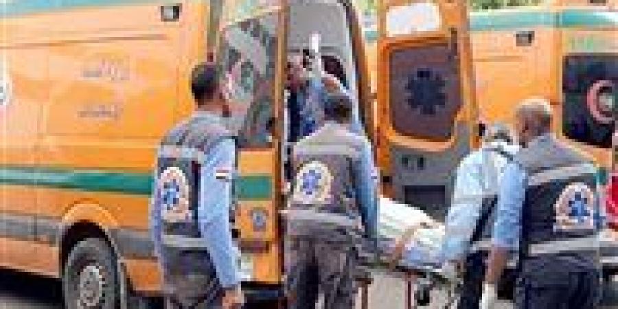 إصابة
      8
      أشخاص
      في
      انقلاب
      ميكروباص
      أعلى
      طريق
      كوبري
      الفحص
      ببنها