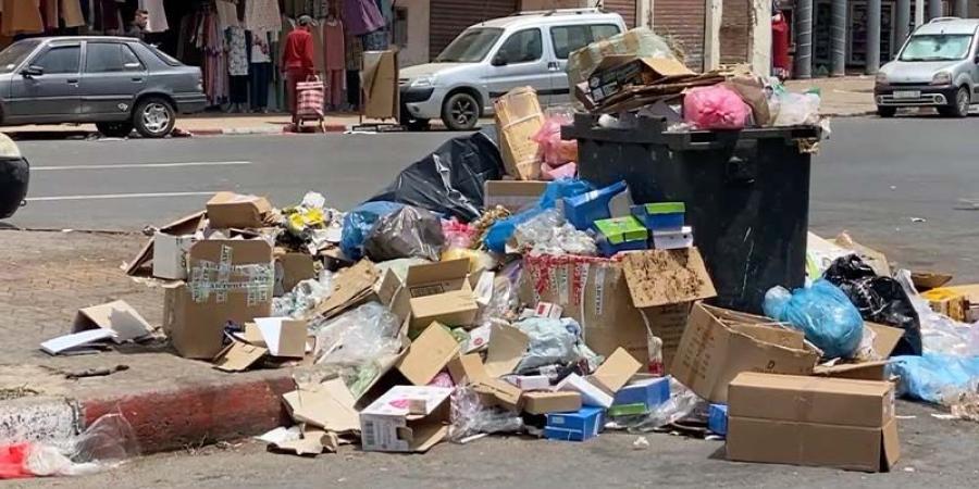 النفايات
      تغزو
      شوارع
      الجديدة