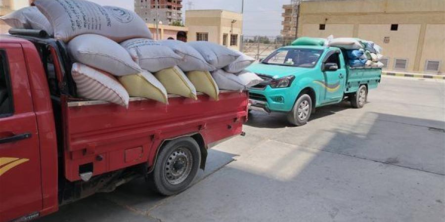 310
      ألف
      طن
      قمح
      بصوامع
      وشون
      ...